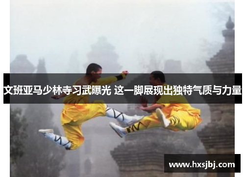 文班亚马少林寺习武曝光 这一脚展现出独特气质与力量
