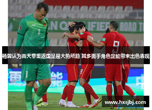 杨翼认为高天意重返国足是大势所趋 其多面手角色定能带来出色表现